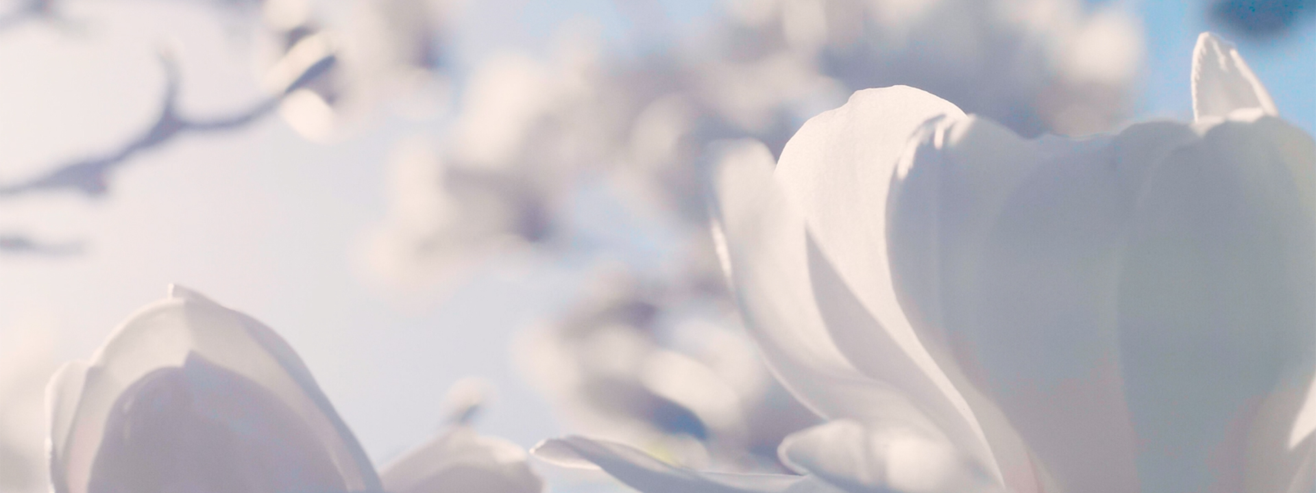 header-umwelt-compliance-2